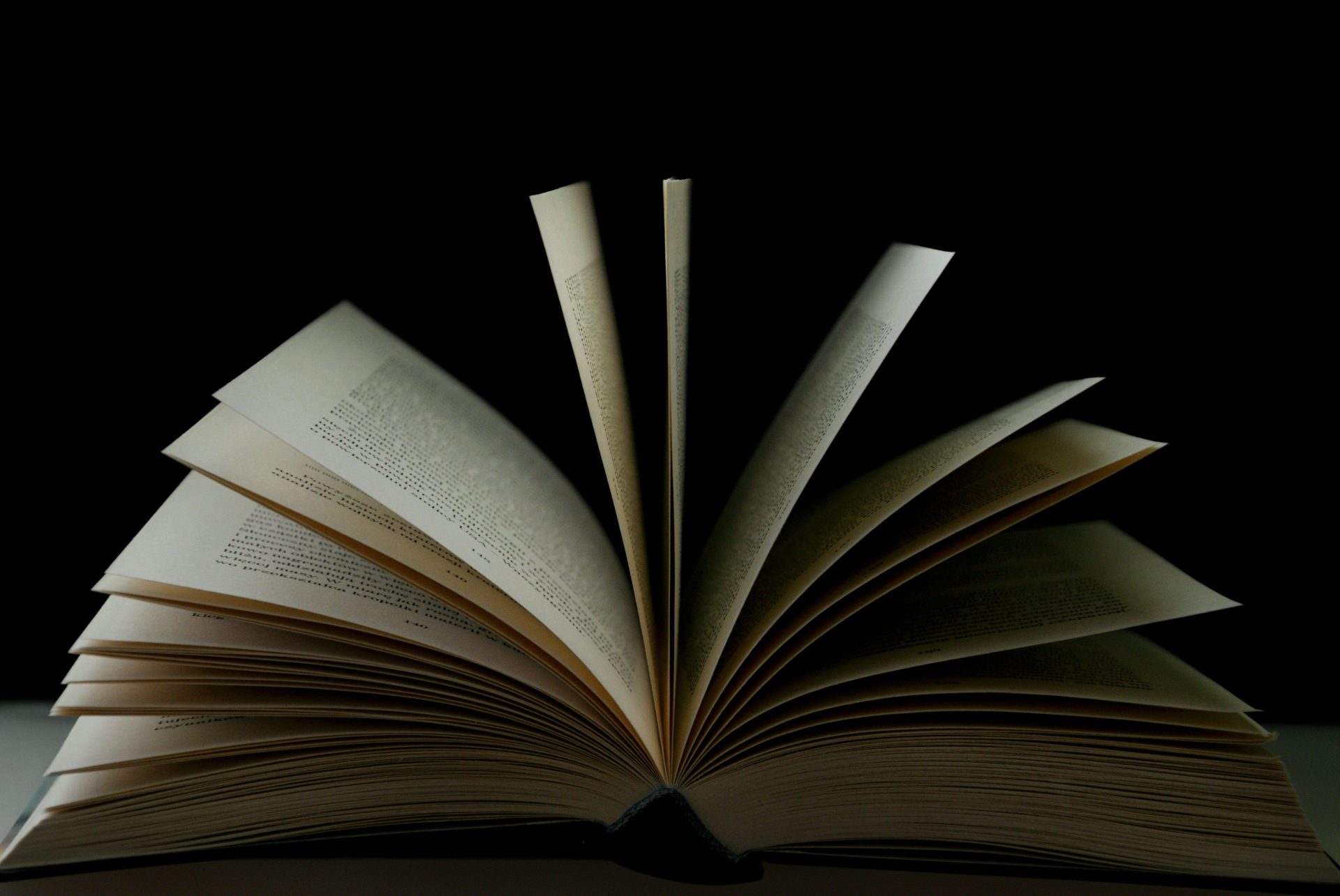An open book with pages fanned out.